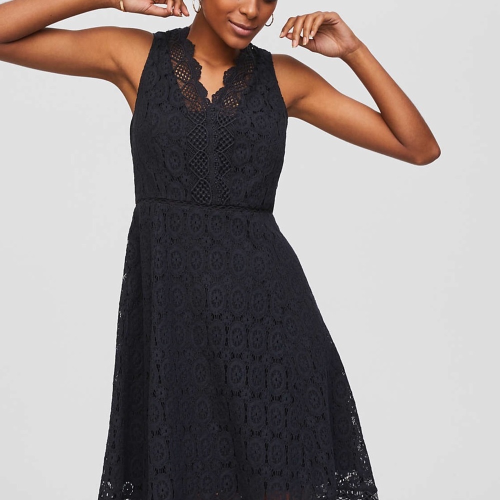 NWT Loft Lace Flare Dress Sz 8